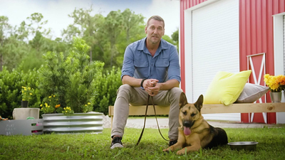 Lucky Dog Down Under - Biscuit & Buster