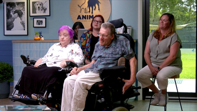 Lucky Dog Down Under - Dewy & Chai