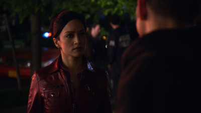 The Good Wife : Fluchtversuche'