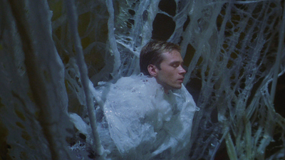 Star Trek: Enterprise : Vox Sola'