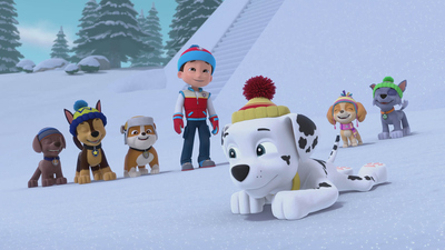 PAW Patrol : Rescue Wheels: Pups Save the Risky Race/Rescue Wheels: Pups Save the Runaway Truck'