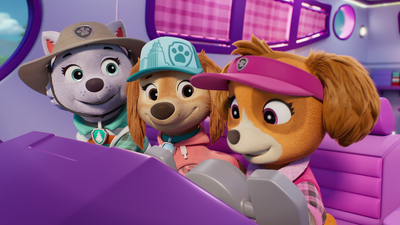 PAW Patrol : Skye's Road Trip Rescue'