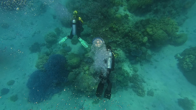 How Did They Fix That? : Reef Rescue'