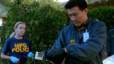 Hawaii Five-0 : Hombre Gancho'