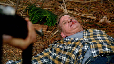 Hawaii Five-0 : Ua Lawe Wale'