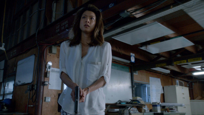 Hawaii Five-0 : He Welo 'Oihana (Empresa De Familia)'