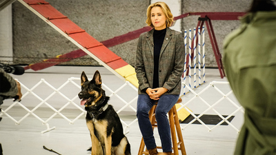 Señora Secretaria de Estado : Mi Gracioso Valentín'