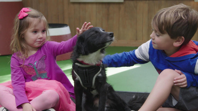 Lucky Dog: Reunions - Animal Introductions