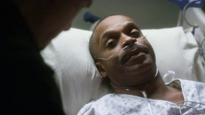 NCIS : Enemigos Domésticos'