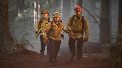 Fire Country : Not A Stray'