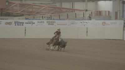 The Last Cowboy : Cowboys, Cowgirls, and Cow Horse'