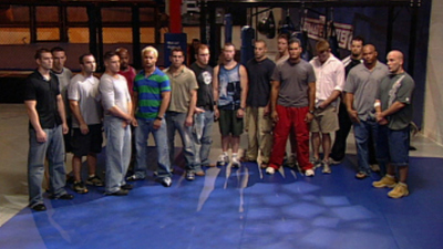 The Ultimate Fighter : The Quest Begins'