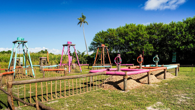 Survivor - Did You Vote for a Swap?