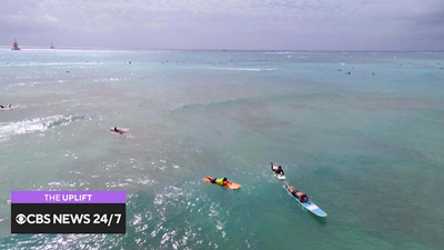 The Uplift - The Uplift: Surfing lessons