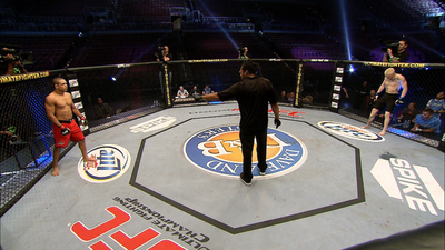 The Ultimate Fighter : Scrappers'