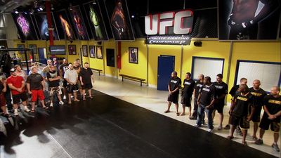 The Ultimate Fighter : Size Does Matter'