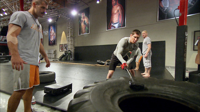 The Ultimate Fighter : Thrown to the Lions'
