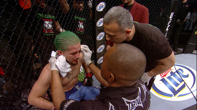 The Ultimate Fighter : TUF 14 Finale: Team Bisping vs. Team Miller'
