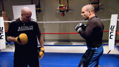 The Ultimate Fighter : Vicious'