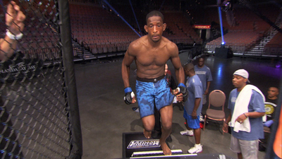The Ultimate Fighter :  Bring It!'