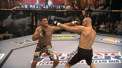 The Ultimate Fighter : Down to Business'