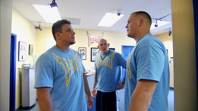 The Ultimate Fighter : Three Strikes'