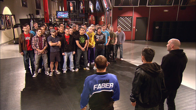 The Ultimate Fighter : The Ultimate Fighter Live'