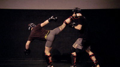 The Ultimate Fighter : Dog with No Bark'