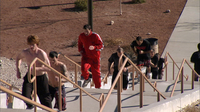 The Ultimate Fighter : Wiggity Wack'