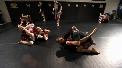 The Ultimate Fighter : Smiling and Punching'