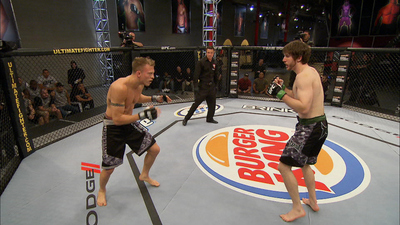 The Ultimate Fighter : Then It Turned Ugly'