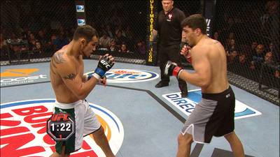 The Ultimate Fighter : TUF 13 Finale: Team Lesnar vs. Team dos Santos'