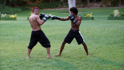The Ultimate Fighter : Well-Played'