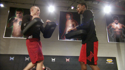 The Ultimate Fighter : Absolute War'
