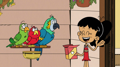 The Loud House : Piscina, Aves y Problemas / Combate en el Escenario'