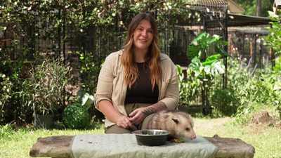 Mission Unstoppable - Changing Bacteria, Color Theory, and Cute Opossums