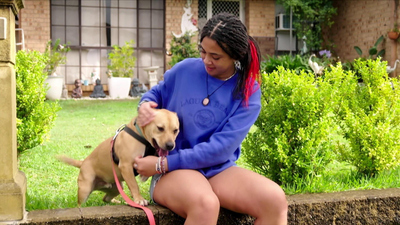 Lucky Dog Down Under - Banksy & Baxter