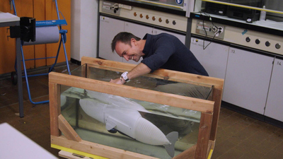 The Visioneers With Zay Harding - A Sea of Hope and Wonder