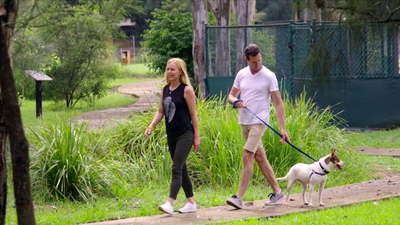 Lucky Dog Down Under - Second Chances