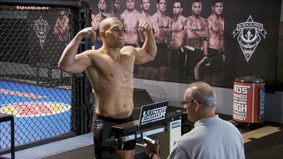 The Ultimate Fighter : Battle Wounds'