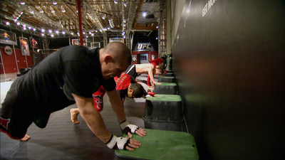 The Ultimate Fighter : If It Breathes, It Bleeds'