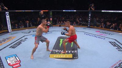 The Ultimate Fighter : TUF 31 Finale: Sterling vs. O'Malley'