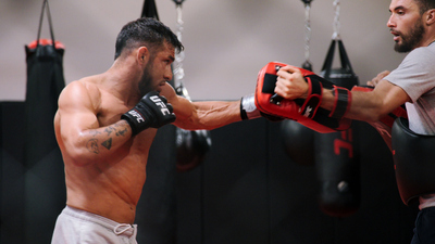 The Ultimate Fighter : How Champions Are Born'