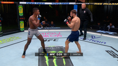 The Ultimate Fighter : TUF 32 Finale: Borralho vs. Cannonier'