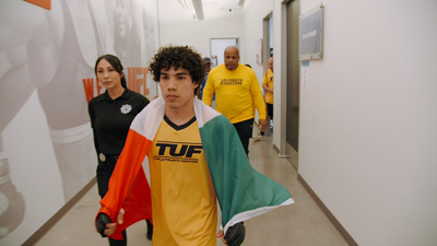 The Ultimate Fighter : Give Them a Show'
