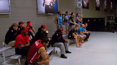 The Ultimate Fighter : Stand and Bang'