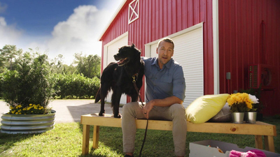 Lucky Dog Down Under - Harlie & Aislinn