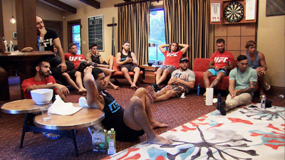 The Ultimate Fighter : Recognize the Enemy'