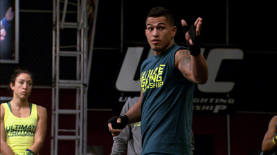 The Ultimate Fighter : Don't Talk to Me'