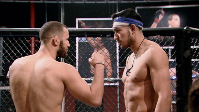 The Ultimate Fighter : The Situation'